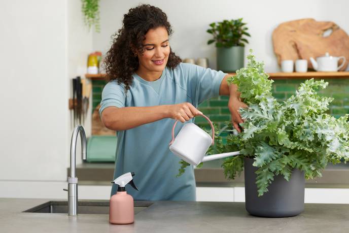 b.for soft watering can 1,7ltr white